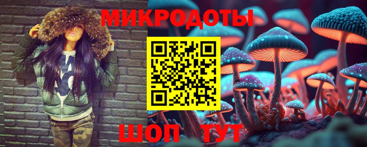 Киржач  Псилоцибиновые грибы мухоморы  Вход с VPN 